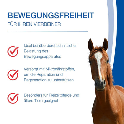 NutriLabs Quattro-Dolor forte Bewegungssaft Teufelskralle Pferd 1 L