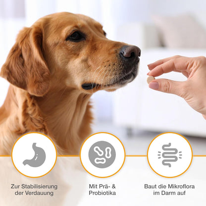 alfavet Dia Tab PRO Verdauungstabletten - 2x 100g für Hunde & Katzen