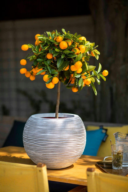 Capi Europe Gefäss Kugel Rib NL Blumentopf 62x48 Anthrazit