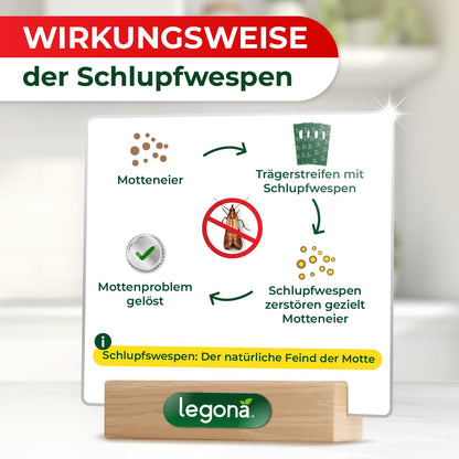Legona® Schlupfwespen Lebensmittelmotten - 6 Karten à 3 Lieferungen
