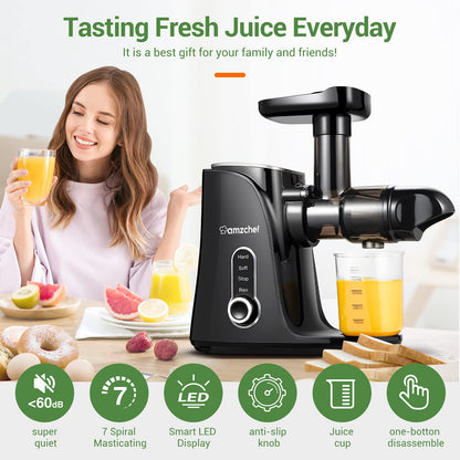 AMZCHEF Slow Juicer Entsafter Gemüse Obst – Schwarz