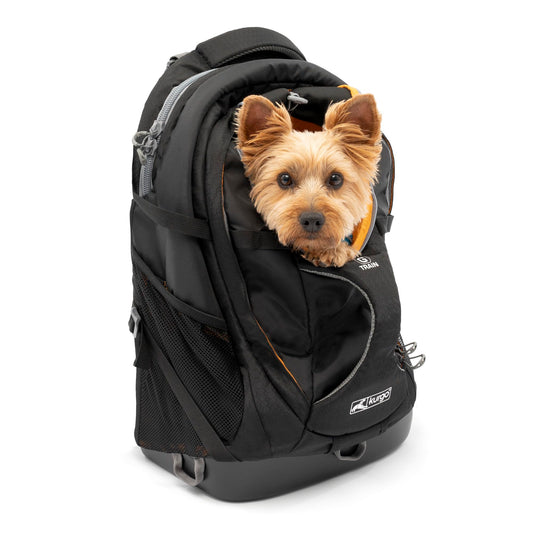 Kurgo G-Train Hunderucksack für Hunde bis 11 kg - Schwarz, transportiert Hunde bis 11kg.