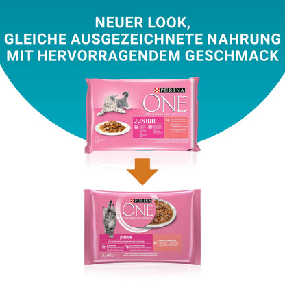 Purina ONE Junior Katzenfutter nass mit Lachs und Karotten, 12er Pack