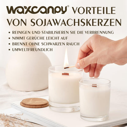 Waxcanpy Sojawachs für Kerzen 3 kg, 100% natürliches Kerzenwachs