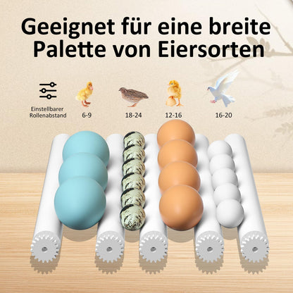 Chalixion Brutautomat vollautomatisch für 16 Eier mit LED Eierleuchte