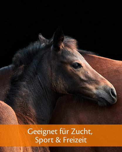 EQUISTRO® Haemolytan 400 Ergänzungsfuttermittel Pferd - 1L