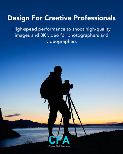 Lexar Professional SILVER Series 512GB CFexpress Typ B - 1750MB/s