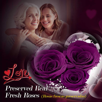 ADDWel Ewige Rose mit Herz Halskette aus 925 Silber, Geschenkbox