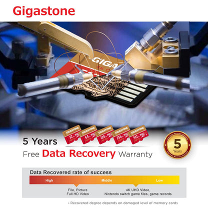 GIGASTONE MicroSDXC Speicherkarte 256GB, UHS-I U3 V30 mit SD-Adapter