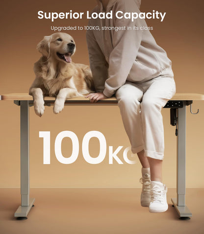 MAIDeSITe T1 Pro Elektrischer höhenverstellbarer Schreibtisch – Grau