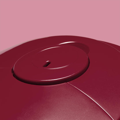 REISHUNGER Digitaler Reiskocher klein - bordeaux 0.6L