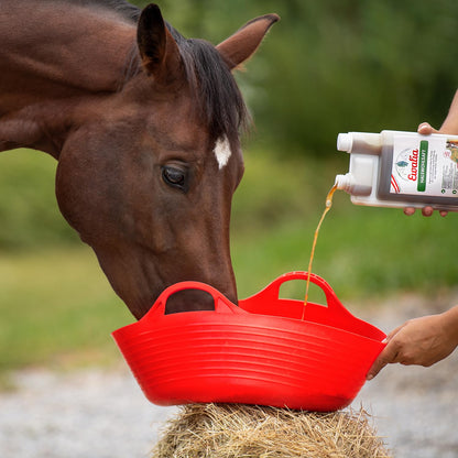 EWALIA Halswohlsaft – Ergänzungsfuttermittel Pferde 3x1L