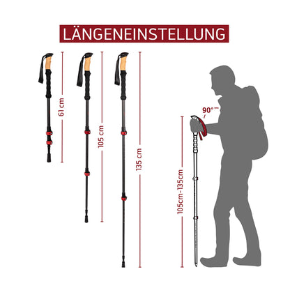 Rothwild Steinbock Trekkingstöcke Carbon Korkgriff Schwarz