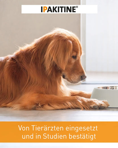 Vetoquinol Ipakitine 300 g Ergänzungsfuttermittel für Hunde und Katzen