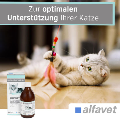 Alfavet ReConvales Tonicum Katze, Ergänzungsfuttermittel, 2 x 280 ml