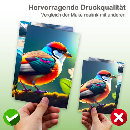 realink TS705a Drucker-Bundle - inkl. 10 Tintenpatronen Set