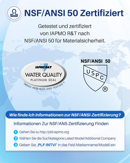 POOLPURE Filterkartusche Typ VI, ersetzt Coleman SaluSpa 90352E, 12er