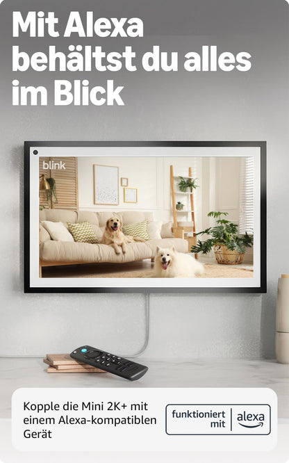 Blink Mini 2K+ Sicherheitskamera, 2er-Set, Schwarz, Nachtsicht in Farb