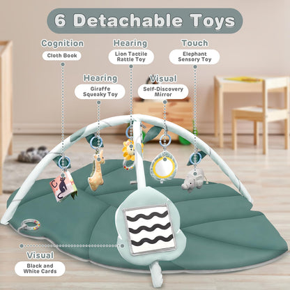 Vanplay Baby Spielmatte mit Spielbogen und 6 Greifspielzeugen