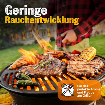 Brennholz-Moser Grillkohle aus Buchenholz, 2 x 9 kg, Körnung 30-130 mm