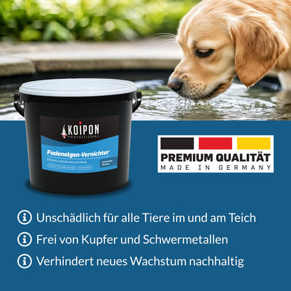 KOIPON Fadenalgen-Vernichter Teich-Algenmittel - 2.5 kg