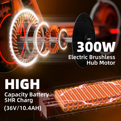 Elektroroller 8.5 Zoll – Strassenzulassung 10.4 Ah