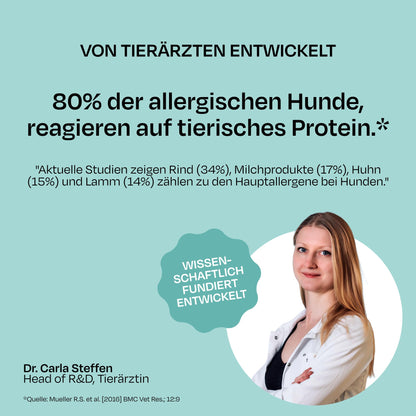 VEGDOG Dentals XL Kausticks vegan, hypoallergen für grosse Hunde