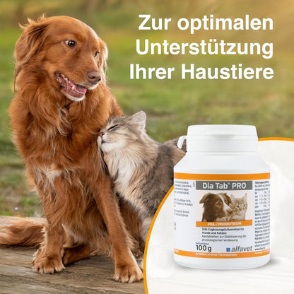 alfavet Dia Tab PRO Verdauungstabletten - 2x 100g für Hunde & Katzen