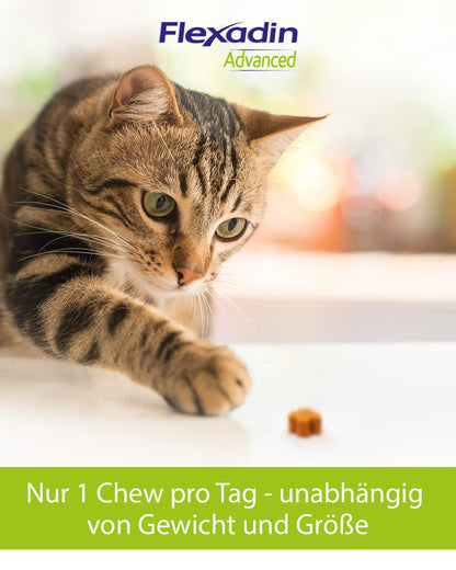 FLEXADIN ADVANCED Katze Gelenkleckerli mit Kollagen Typ II - 60 Stück
