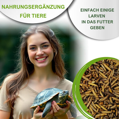 Soldatenfliegenlarven Hermetia illucens getrocknet 15 kg