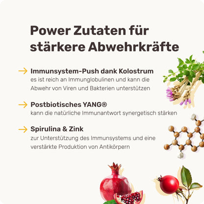 mammaly Immu Push Immunsystem Leckerli für Hunde 350g
