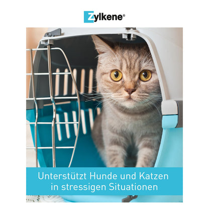 Zylkene Kapseln Ergänzungsfutter Katze Hund - 75 mg 100 Stk.