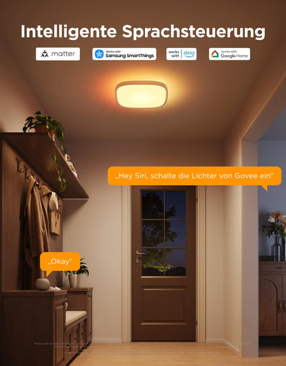 Govee RGBIC Smart LED-Deckenleuchte, 24 W, dimmbar, 30 cm