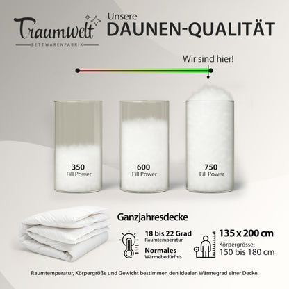 Traumwelt Natur Daunendecke 90/10 Ganzjahr 135x200 cm