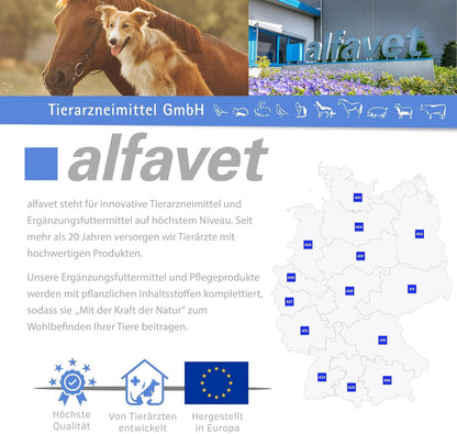 alfavet Dia Tab PRO Verdauungstabletten - 2x 100g für Hunde & Katzen