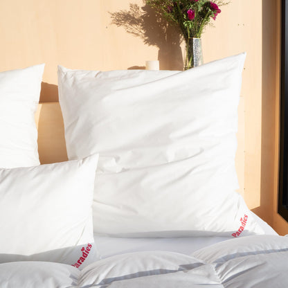 PARADIES Softy Top Bio Kopfkissen 80x80 2er Set mittelfest vegan