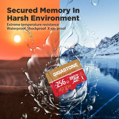 GIGASTONE MicroSDXC Speicherkarte 256GB, UHS-I U3 V30 mit SD-Adapter