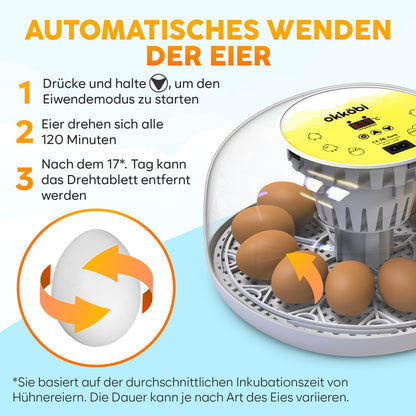 EggPro Brutautomat Vollautomatisch 12-24 Eier – Weiss-Gelb