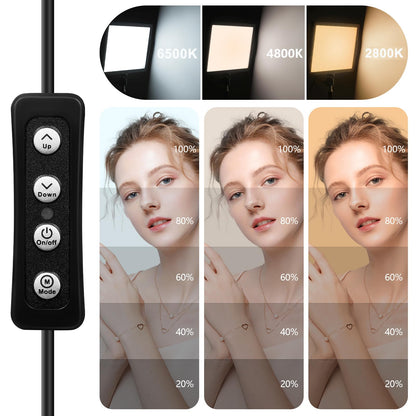 LightPro LED Beleuchtungsset Zweifarbig – Doppelpack mit Stativ