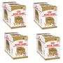 Royal Canin Chihuahua Adult Nassfutter - 4 x 12 x 85g Pack