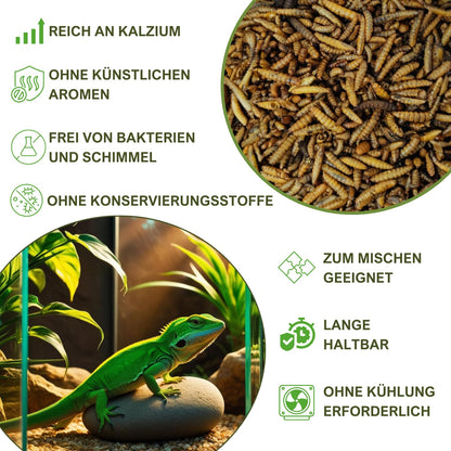 Soldatenfliegenlarven Hermetia illucens getrocknet 15 kg