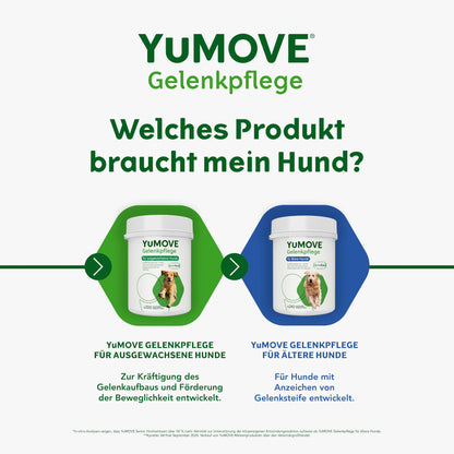 YuMOVE Gelenktabletten Hund Grünlippmuschel – für ältere Hunde 240 Stk.