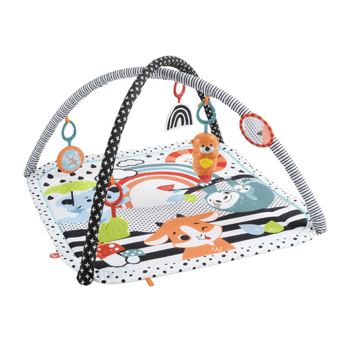 Fisher-Price Tierfreunde Kontrast-Spieldecke mit Musik und Licht, Spielbogen mit kontrastreichen Tierfiguren