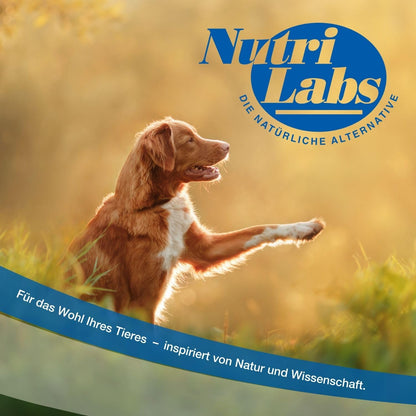 NutriLabs Canidex Gelenktabletten für Hunde Nahrungsergänzung 60 Stk.