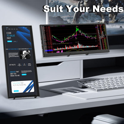 12,3 Zoll Tragbarer Stretched Monitor Touch – USB-C/HDMI IPS