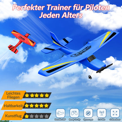 HAWK'S WORK RC Flugzeug Cessna RTF 2 CH 2,4 GHz für Anfänger