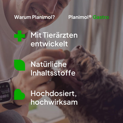 Planimol Gastro Magensnack für Hunde, 90 Tabletten, 100% natürlich
