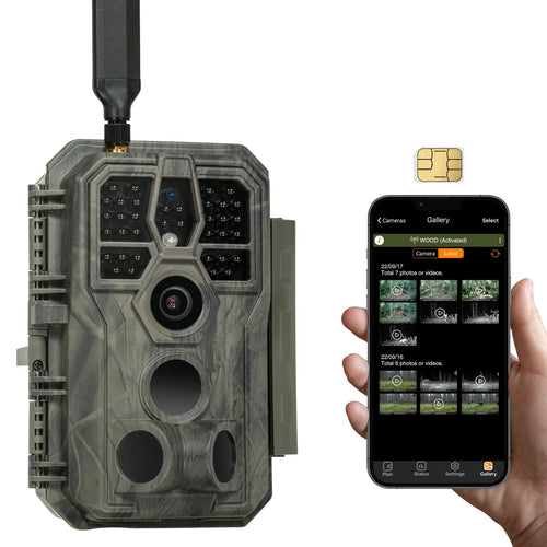 GardePro X50 4G LTE Wildkamera - App & No Glow Nachtsicht, olivgrün. Erfasst Wild per Bewegungssensor.