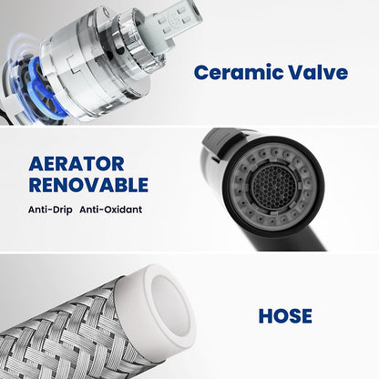 CECIPA Küchenarmatur Niederdruck Schwarz – Ausziehbarer Bogen