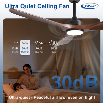 Depuley Leise Deckenventilator LED Aussen 132cm Braun App